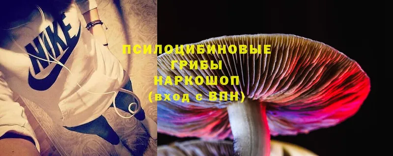 Галлюциногенные грибы MAGIC MUSHROOMS  omg ONION  Нелидово 